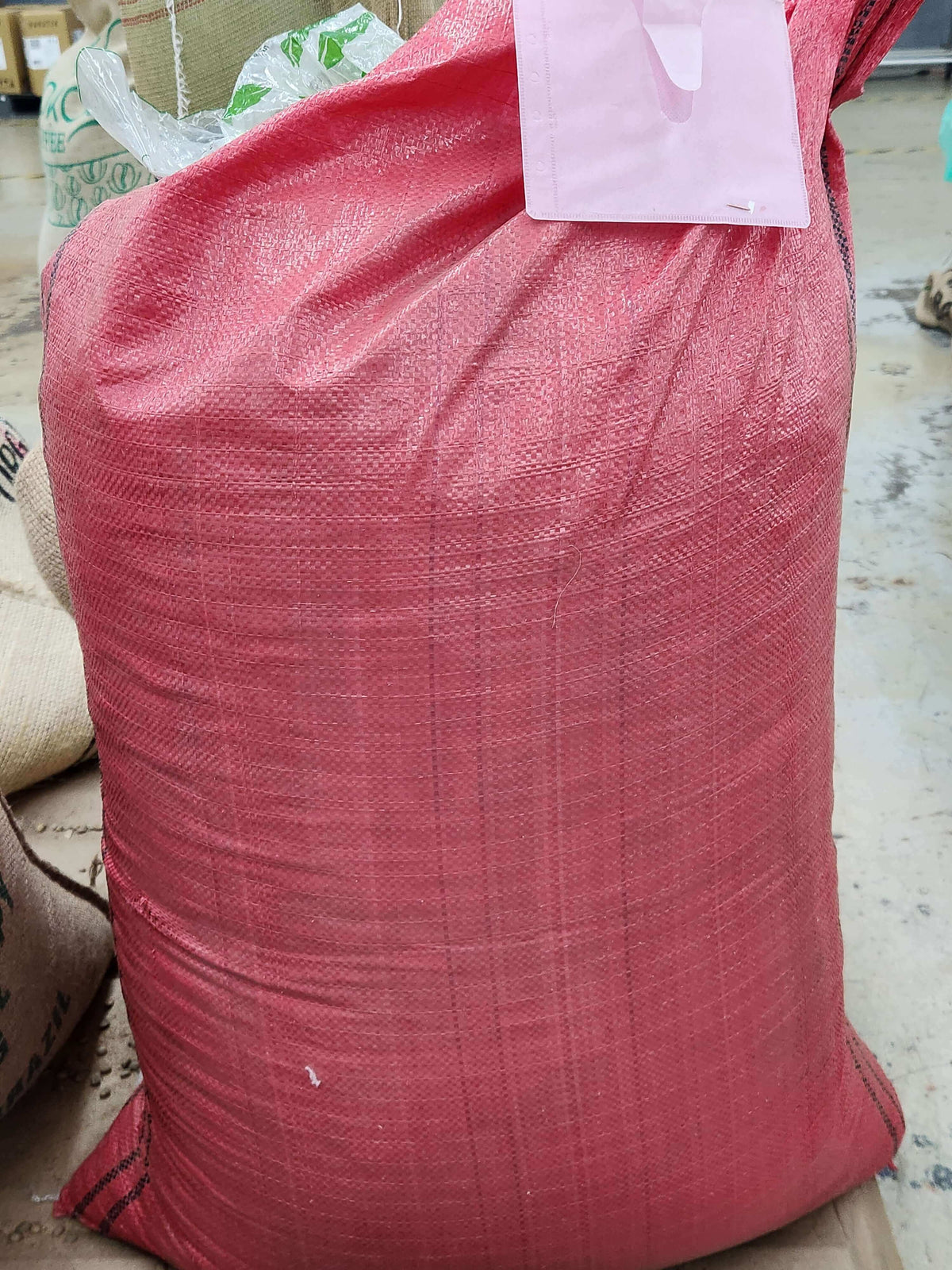 Bolivia Peaberry