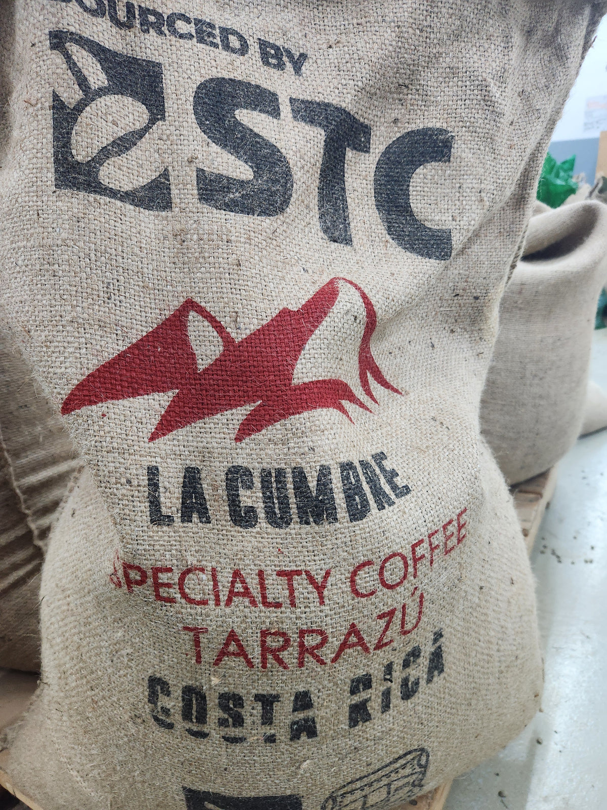 Costa Rica Tarrazu Cafe La Cumbre