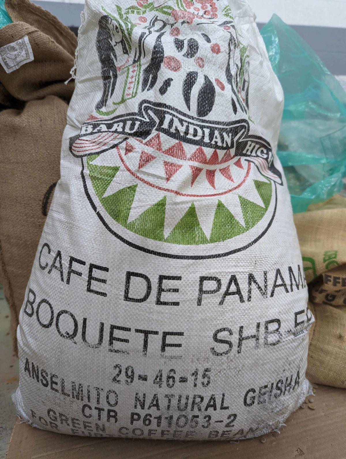 Panama Boquete Natural Geisha
