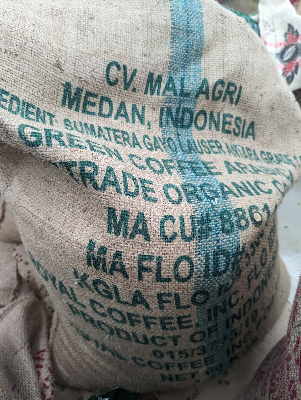 Sumatra Gayo Leuser Antara