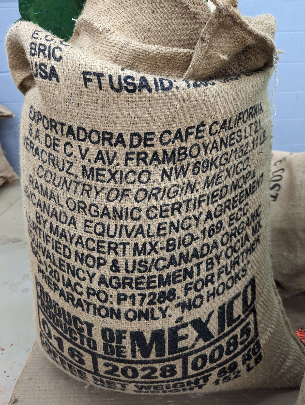 Mexico Chiapas California