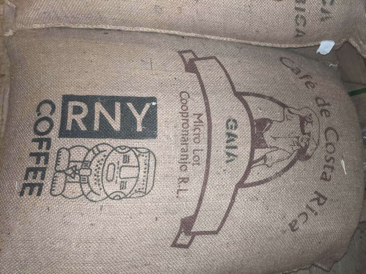Costa Rica Gaia Washed