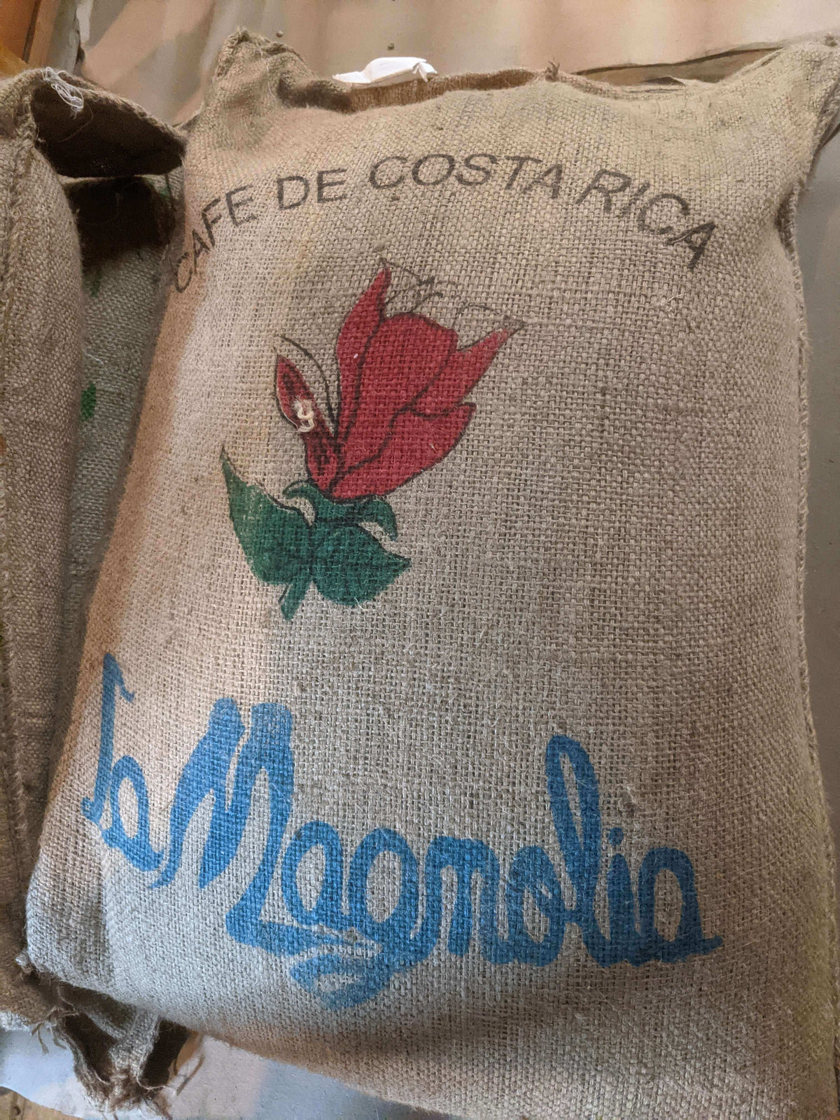 Costa Rica La Magnolia