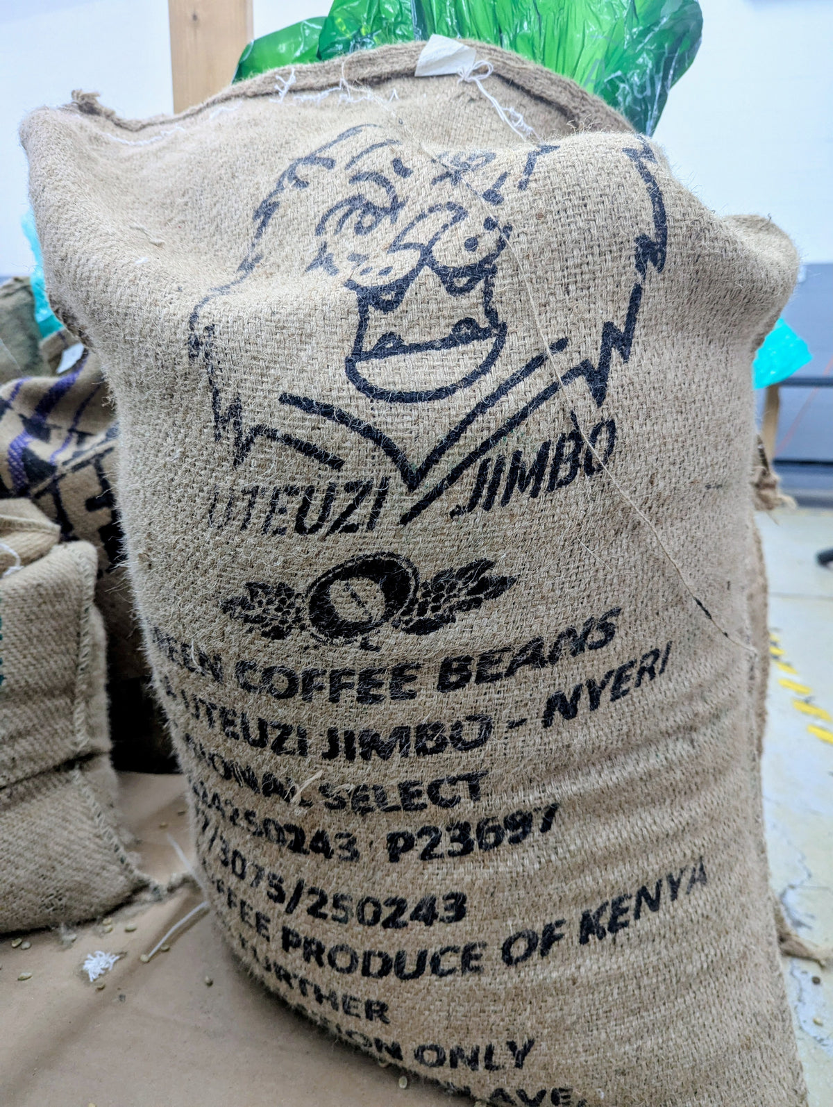 Kenya Uteuzi Jimbo