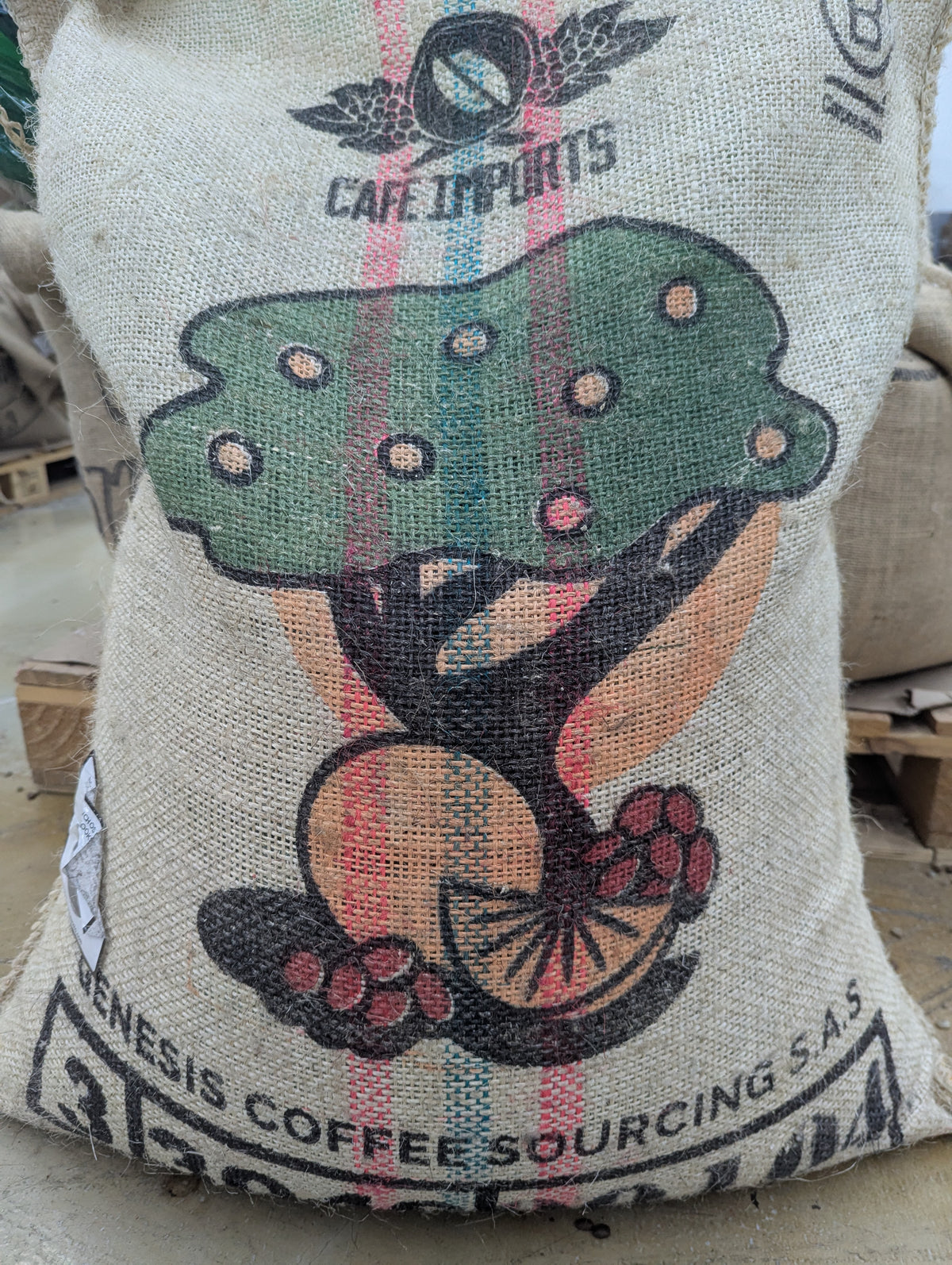 Colombia Geisha Natural