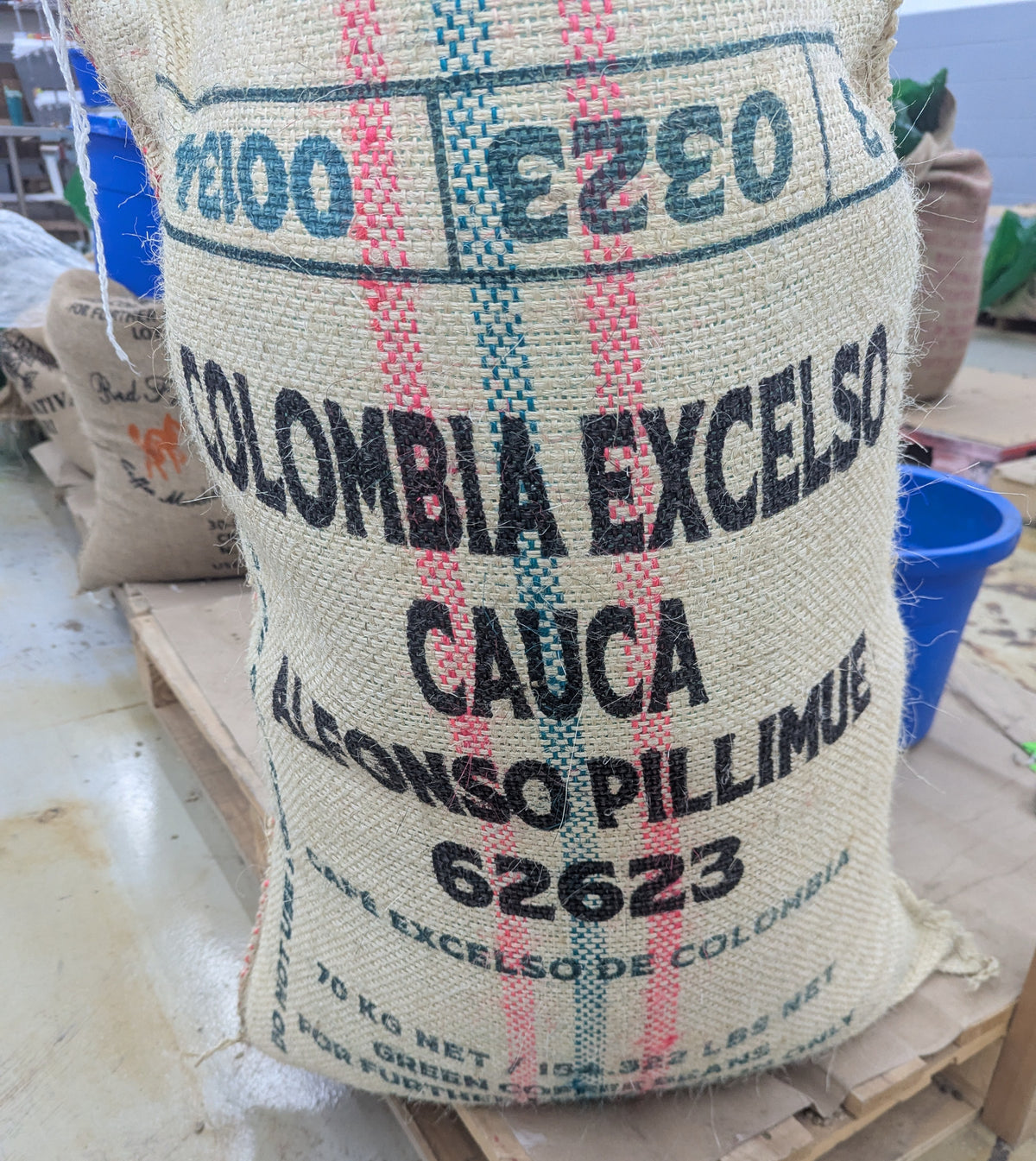 Colombia Cauca Alfonso Pillimue