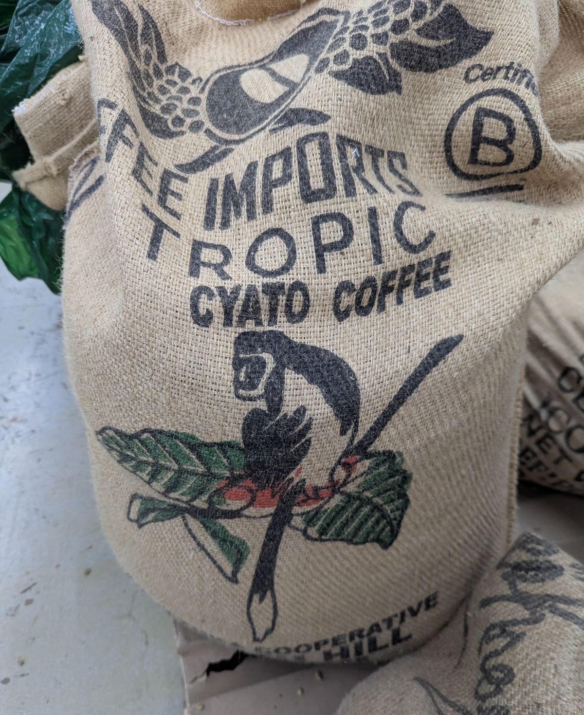 Rwanda Cyato Natural