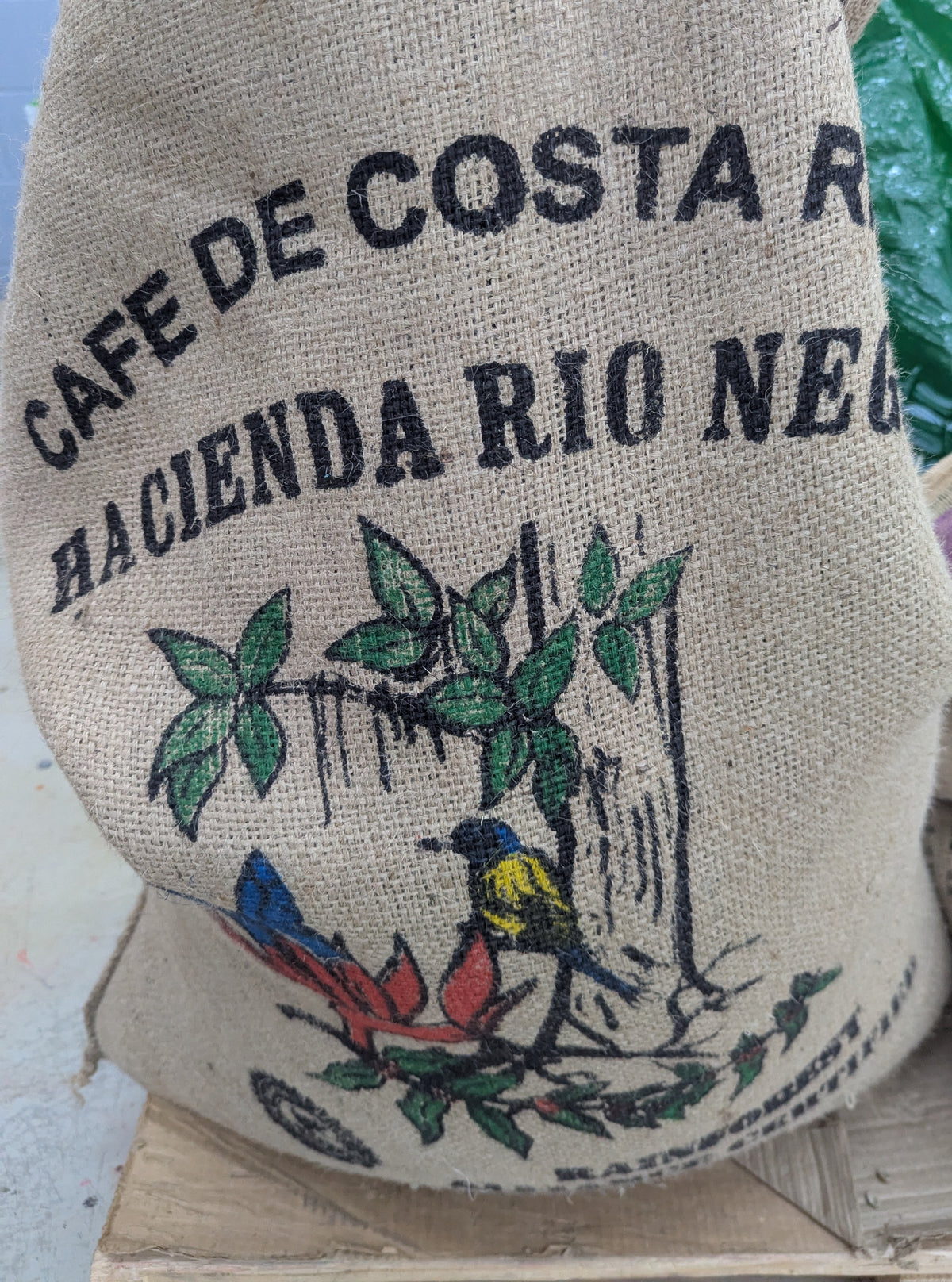 Costa Rica Rio Negro Natural