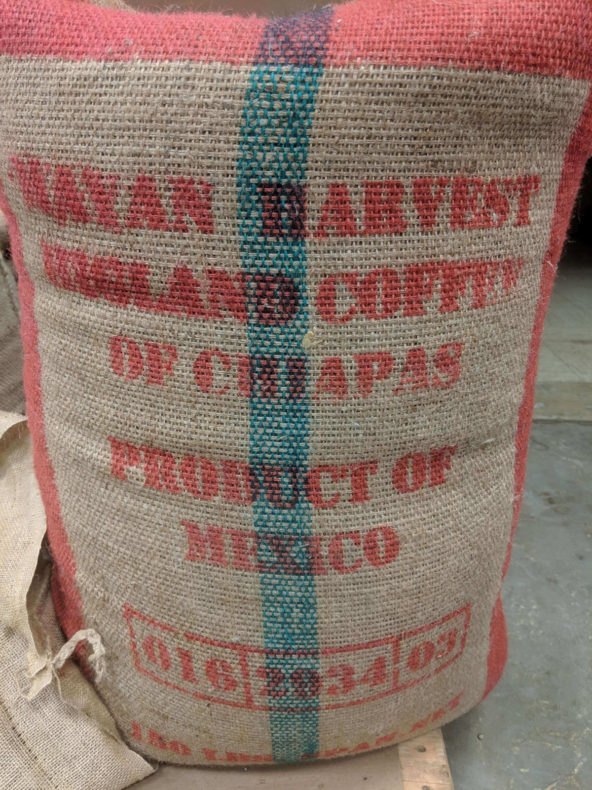 Mexico Chiapas Rosalba Cifuentes