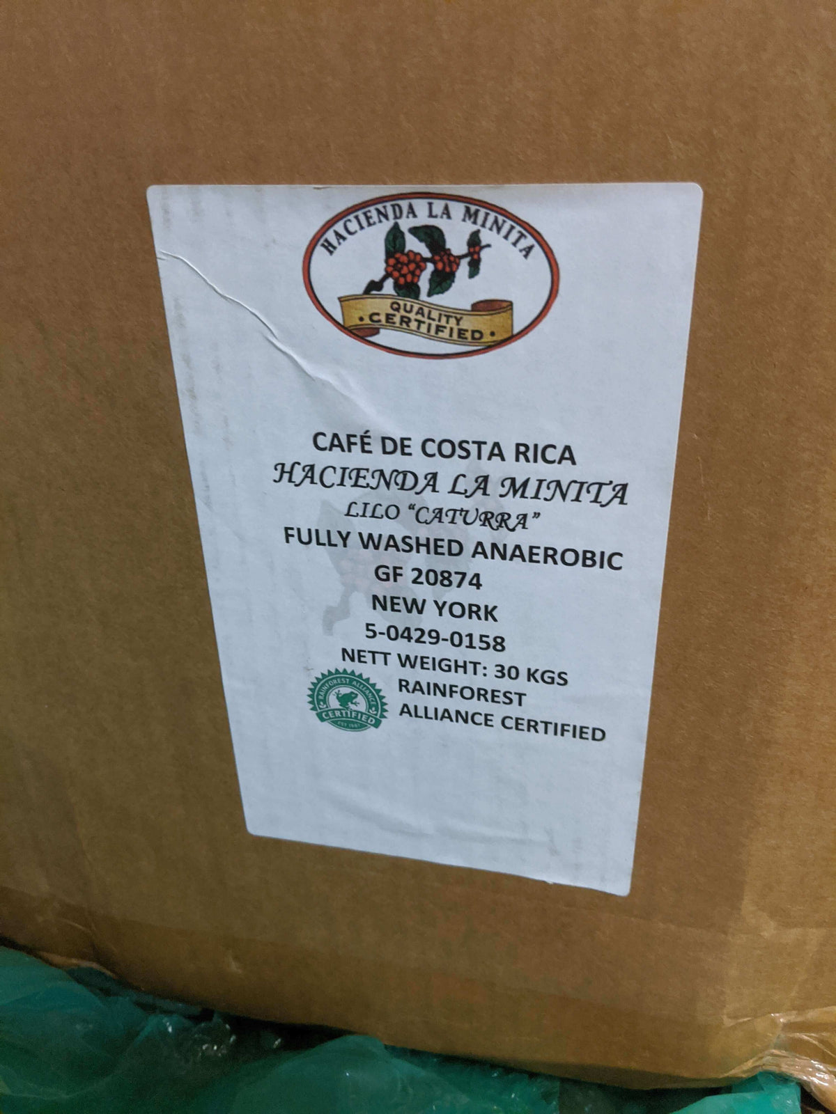 Costa Rica La Pastora Anaerobic Washed