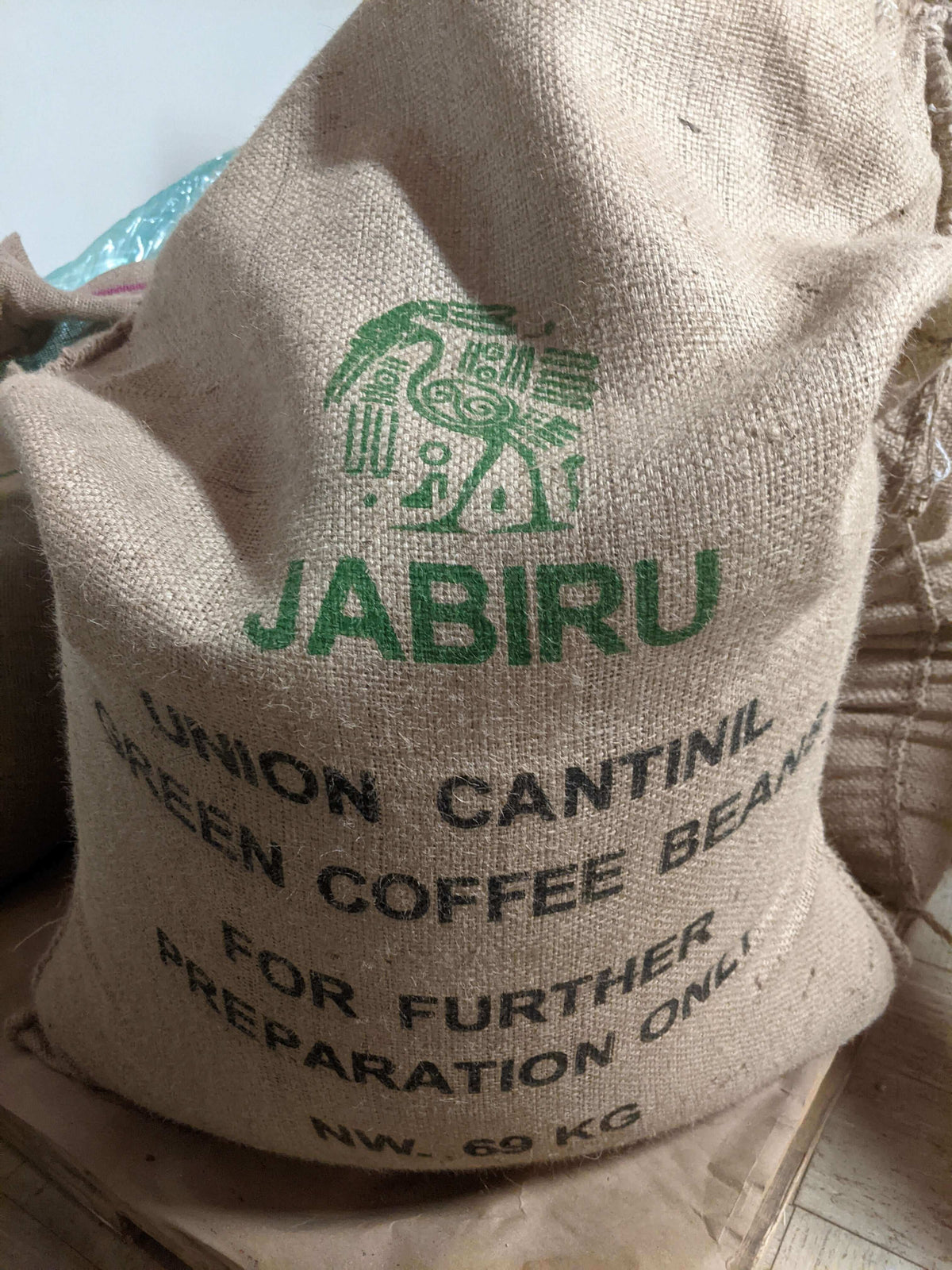Guatemala Huehuetenango Jabiru