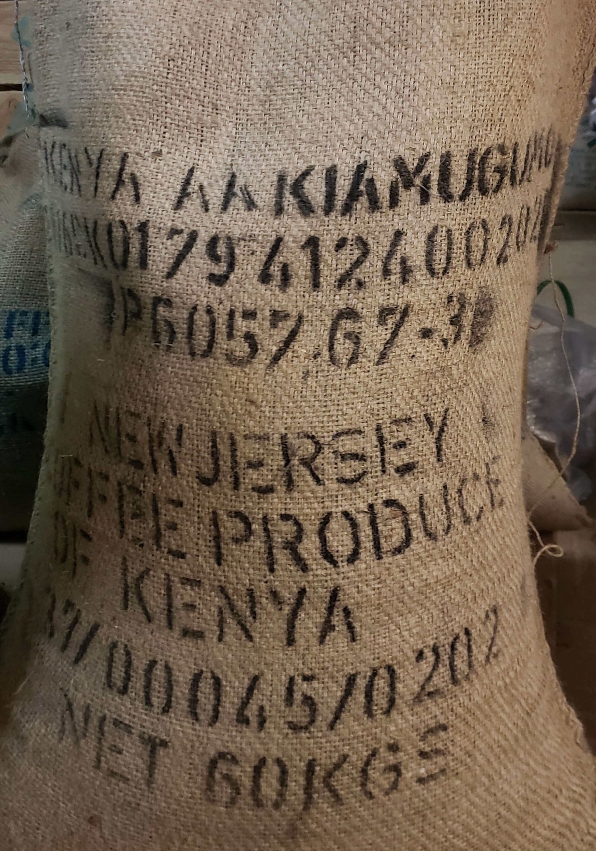 Kenya Kamundo